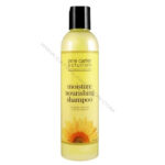 Jane Carter | Moisture Nourishing Shampoo (8oz)