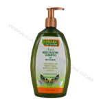 Organic Hair Energizer | 5 in 1 Rejuvenating Shampoo (13oz)