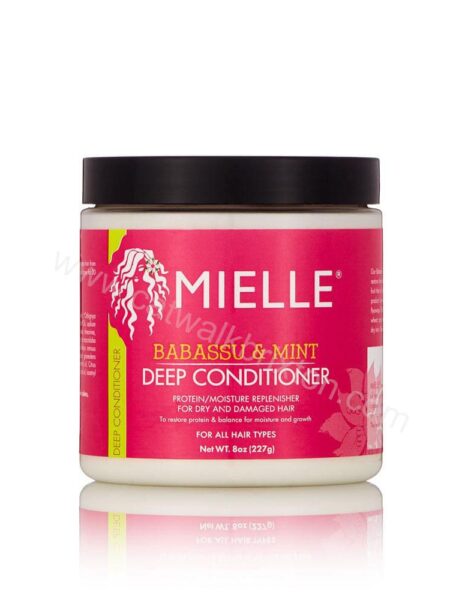 Mielle Organics | Babassu Oil & Mint Deep Conditioner 8 fl. oz.
