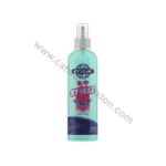 STYLIN DREDZ | STYLIN STYLEZ ULTIMATE HOLDIN SPRAY 250ml