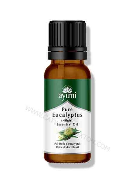 Ayumi Naturals | Pure Eucalyptus Oil 20ml