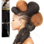 MANE CONCEPT DEFINITION BRAID